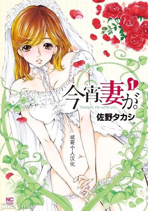 今晚，我的妻子。 [斌哥个人汉化] [佐野タカシ] 今宵、妻が。 cover