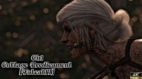 Ciri Cottage Predicament [HighBR][Fatcat17][NO WM] cover